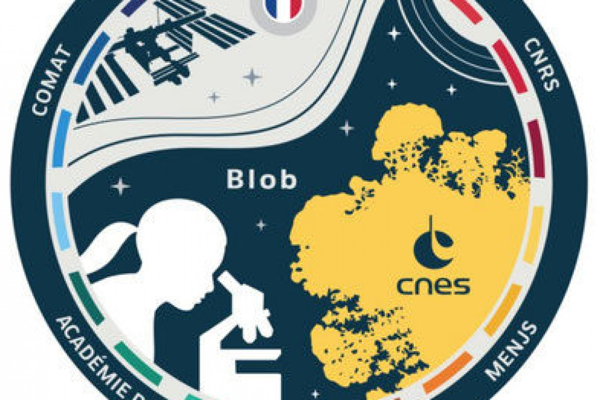 Mission blob - CNRS